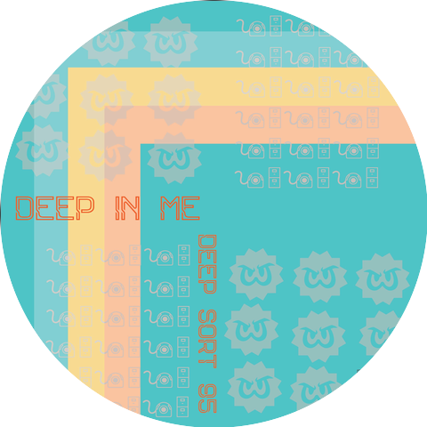 Deep Sort 95