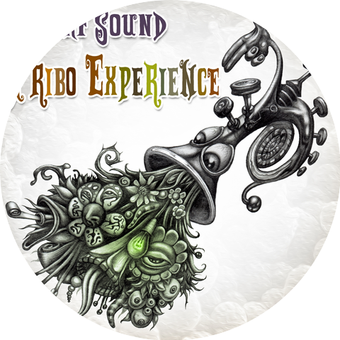 Shahaf Sound