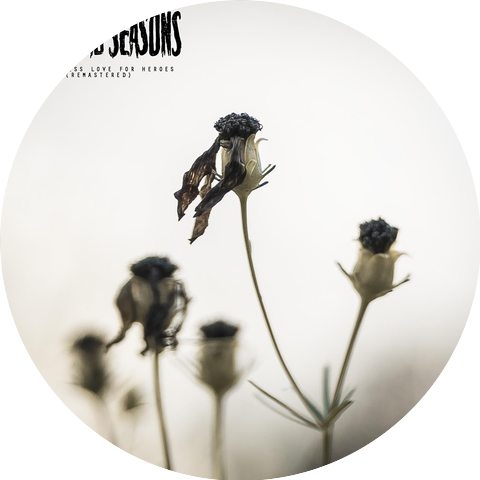 Four Dead Seasons