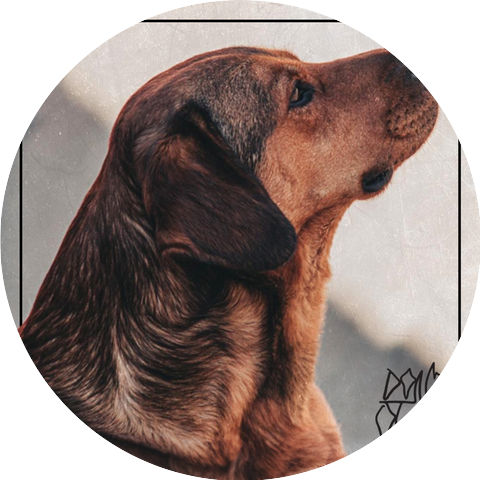 Dona Olga