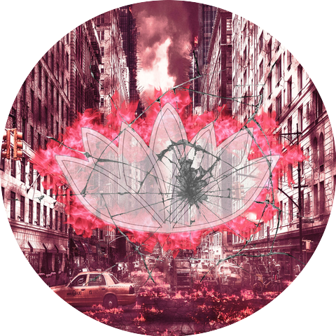 White Lotus Collective