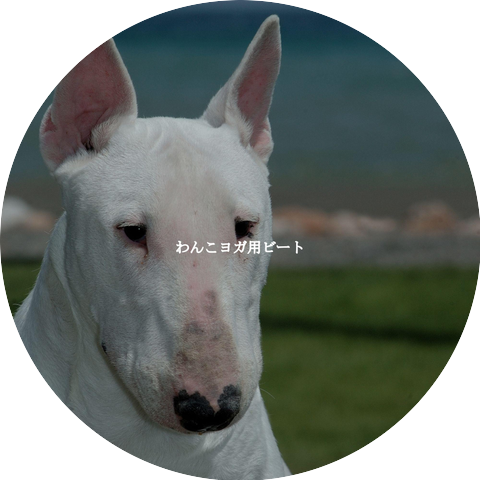 Dinner Jazz Playlist