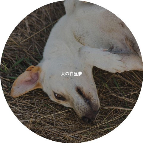 Luxury Restaurant Music