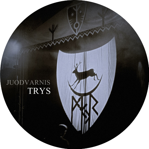 Juodvarnis