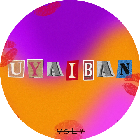 Vsly