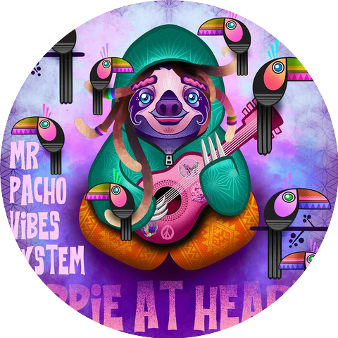 Mr Pacho Vibes System