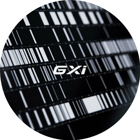 GXi