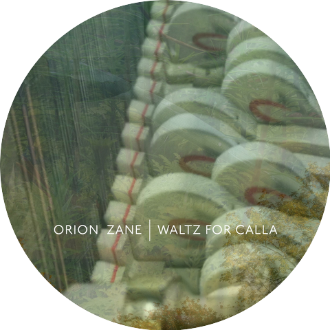 Orion Zane