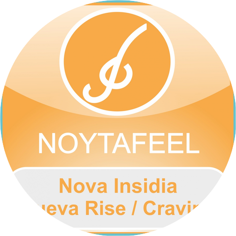 Nova Insidia