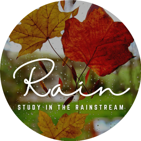 Calm Rain Sounds