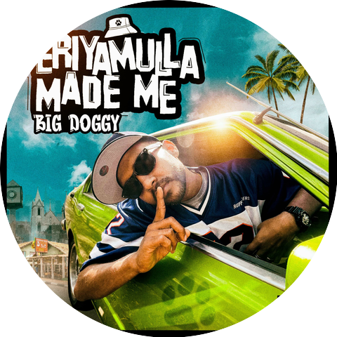 BigDoggy