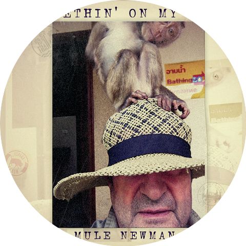 The Mule Newman Band