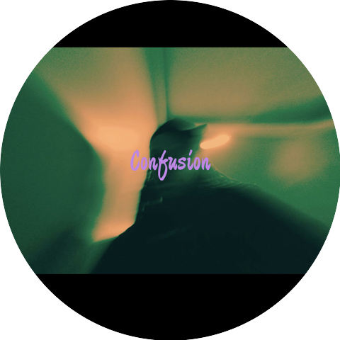 Dsven