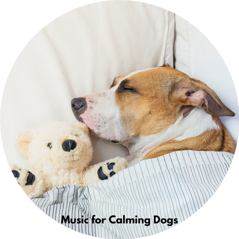 Music for Calming Dogs