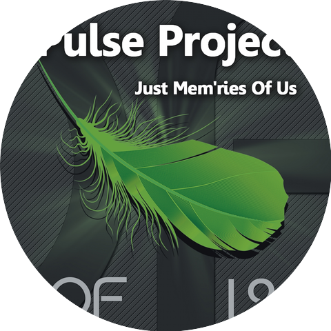 Pulse Project