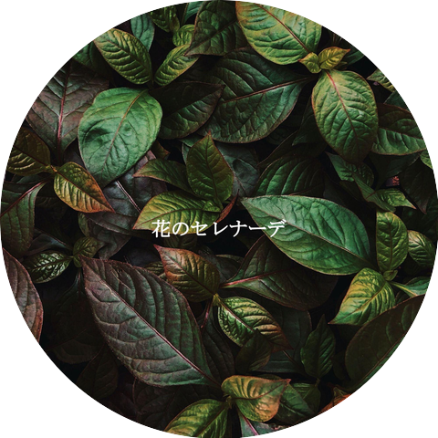 Soulful Jazz Coffee House