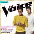 Thunderstorm Artis & Nick Jonas