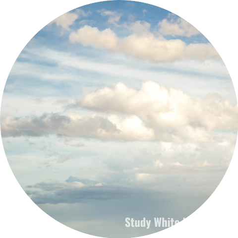 Study White Noise