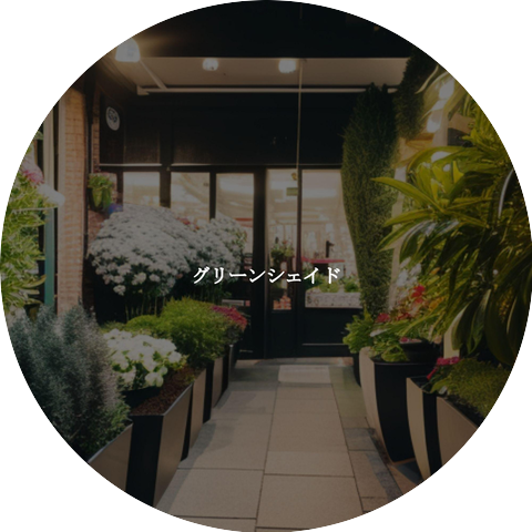 Classy Lounge Playlist