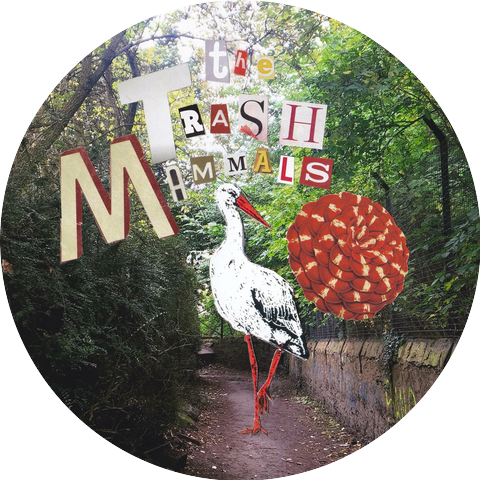 Trash Mammals