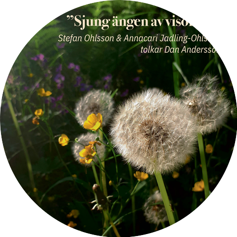 Stefan Ohlsson & Annacari Jadling-Ohlsson