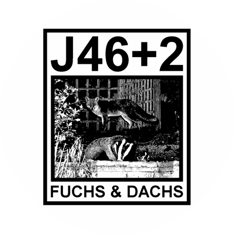 J46+2