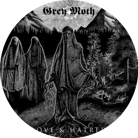 Grey Moth