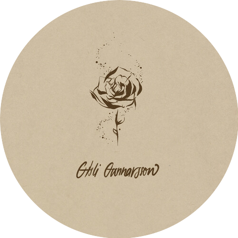 Gísli Gunnarsson