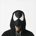 The Bloody Beetroots