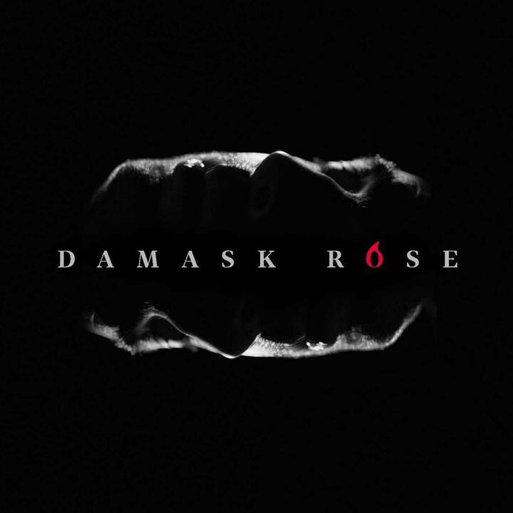 Damask Rose