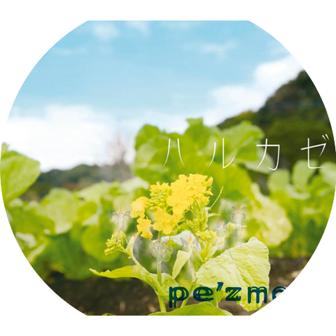 Pe'zmoku