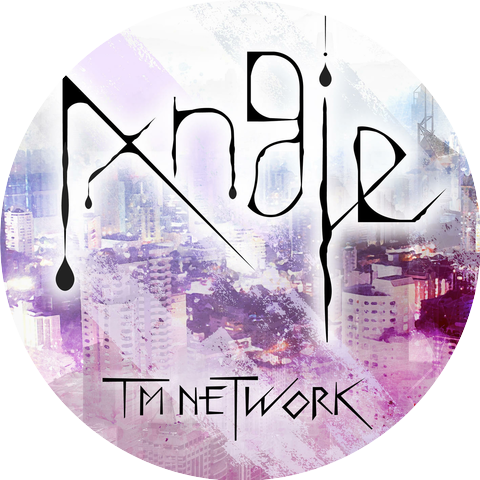 TM Network