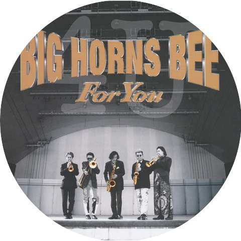 Big Horns Bee