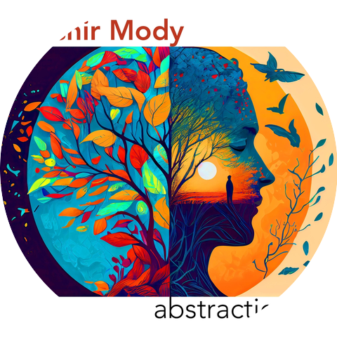Noshir Mody
