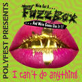 We've Got a Fuzzbox & We're Gonna Use It