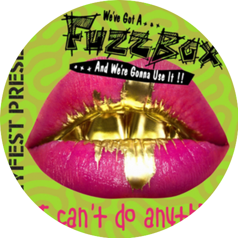 We've Got a Fuzzbox & We're Gonna Use It