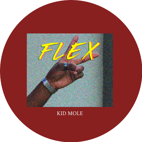 Kid Mole