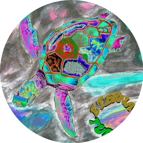 Eternal Turtle