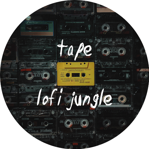 LOFI JUNGLE