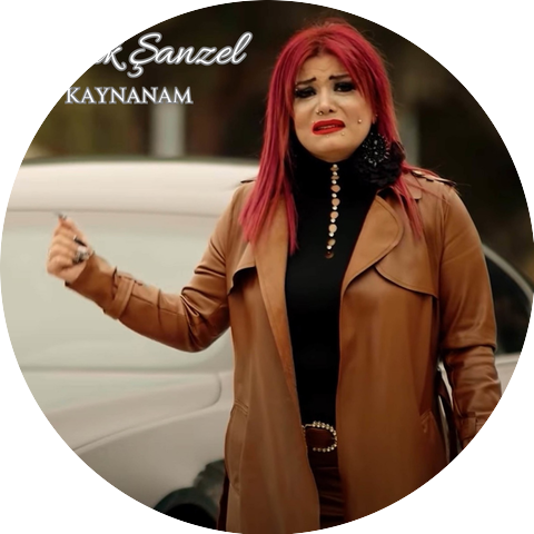 Çatlak Şanzel