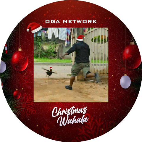 Oga Network