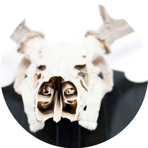 Treasure State Mother Fuckers