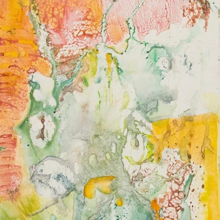 flawed mangoes