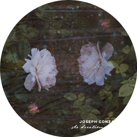 Joseph Gonzalez