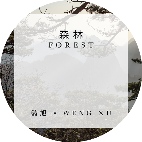 Weng Xu