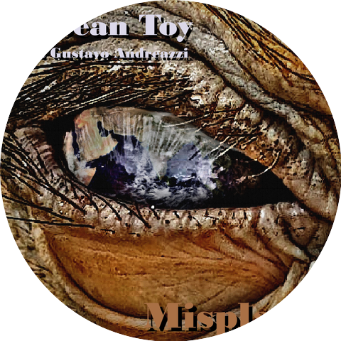 Sean Toy