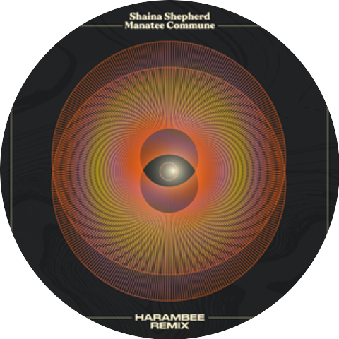 Shaina Shepherd