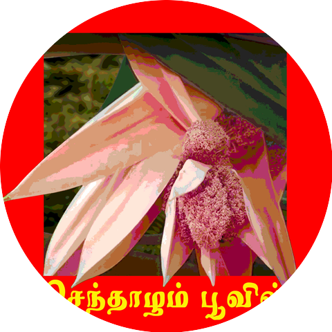 Kailash Shanmugaa