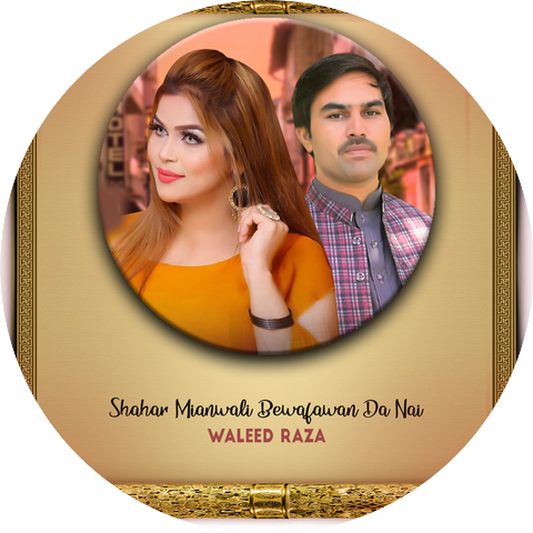 Waleed Raza