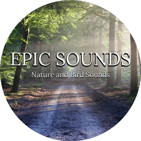 Epic Sounds